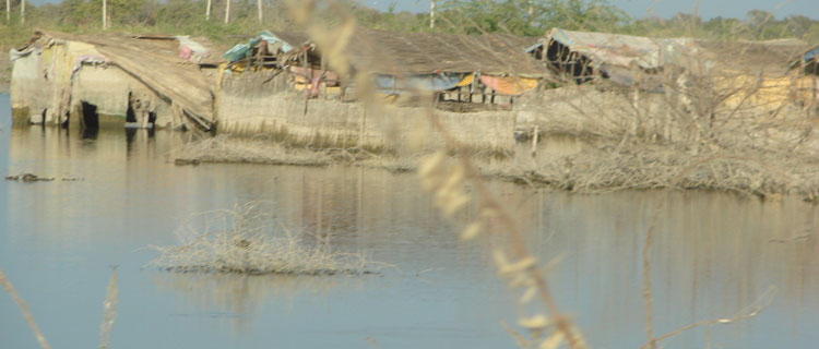 Flood Relief